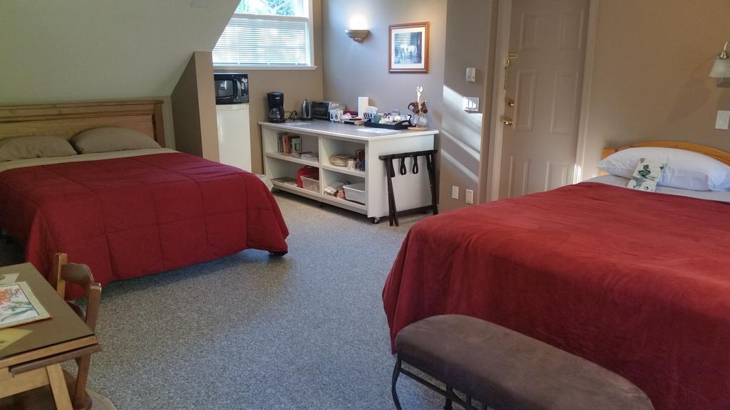 Hummingbird Guesthouse Πορτ Άλμπερνι Εξωτερικό φωτογραφία